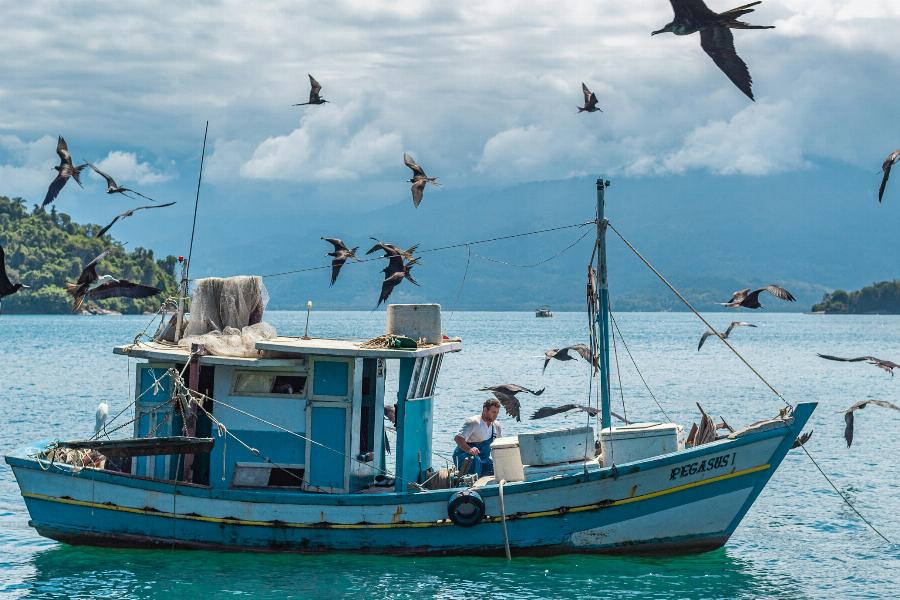 La pêche en Guadeloupe