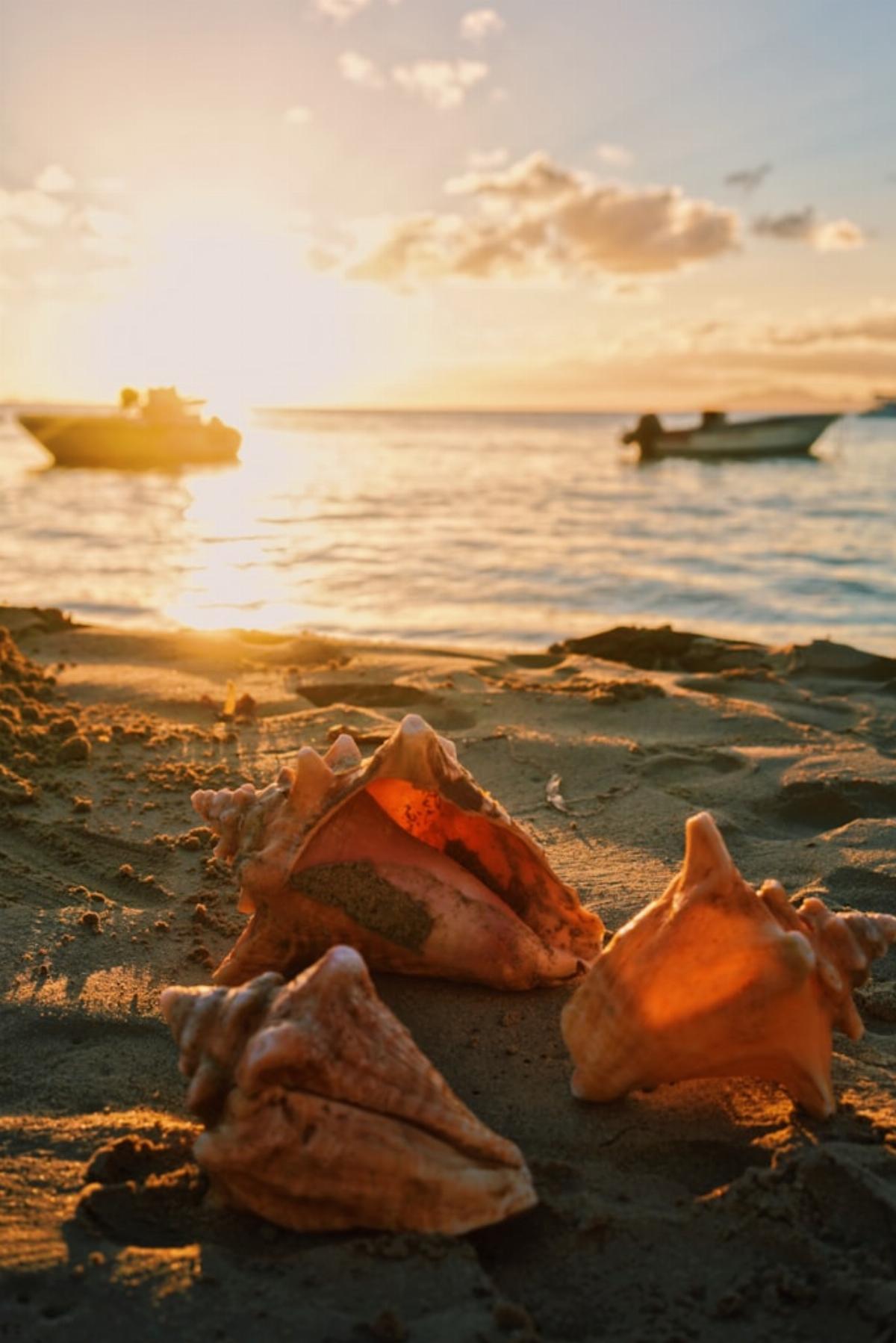 L'alimentation Guadeloupéenne se base sur les produits issus de la mer